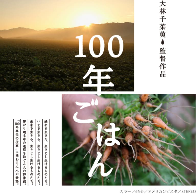 100年ごはん サムネイル